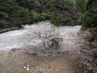 P4130004.JPG