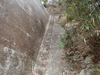 P4130065.JPG