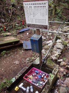 P5151253.JPG